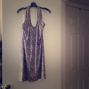 Animal, animal, animal!!!